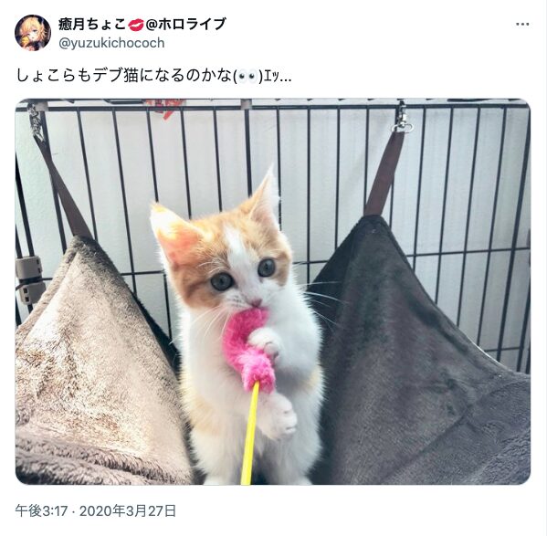 ちょこ先生 中身